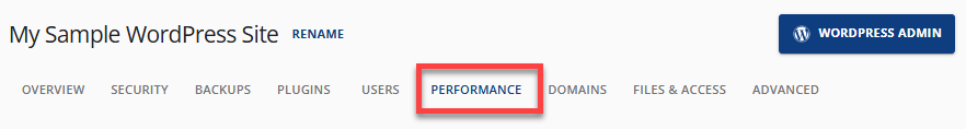 Account Manager - Performance tab