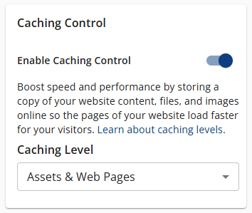 Performance tab - Caching Control