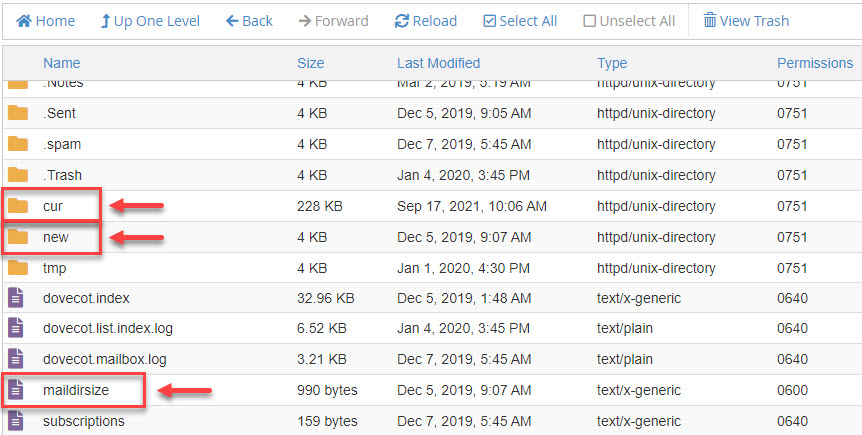 Email server directory listing with arrows highlighting 'new', 'cur', and 'maildirsize' indicating email activity.