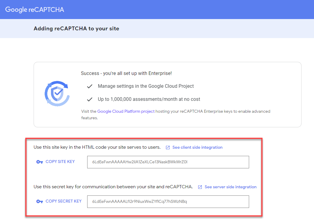google-api-key-pair-success-registration