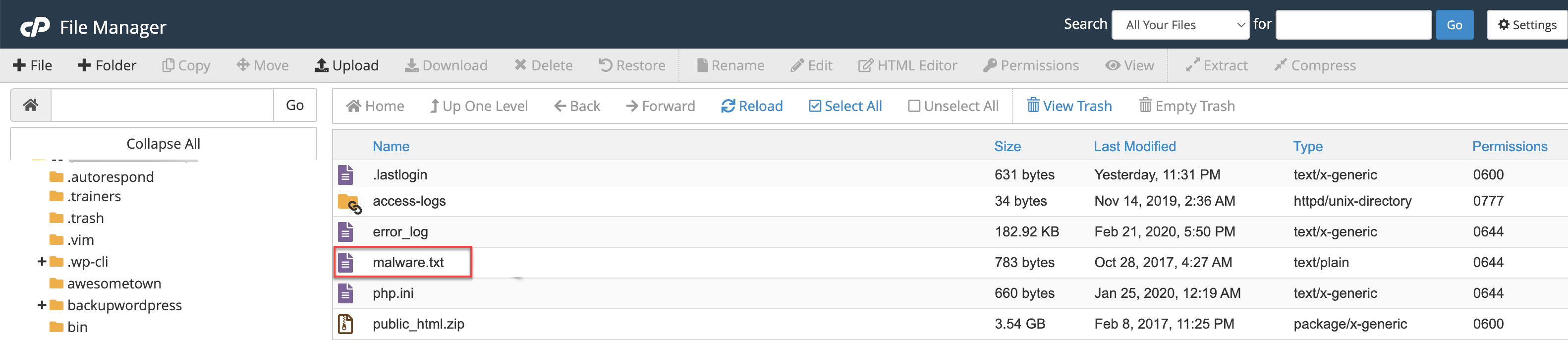 BH File Manager malware.txt
