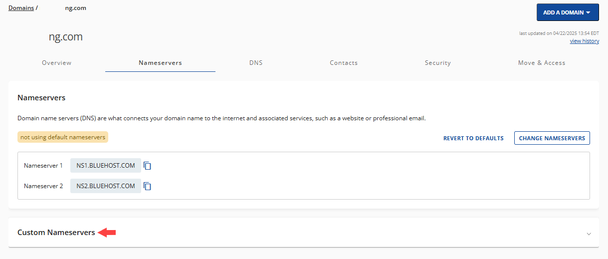 Nameservers Tab - Custom Nameservers