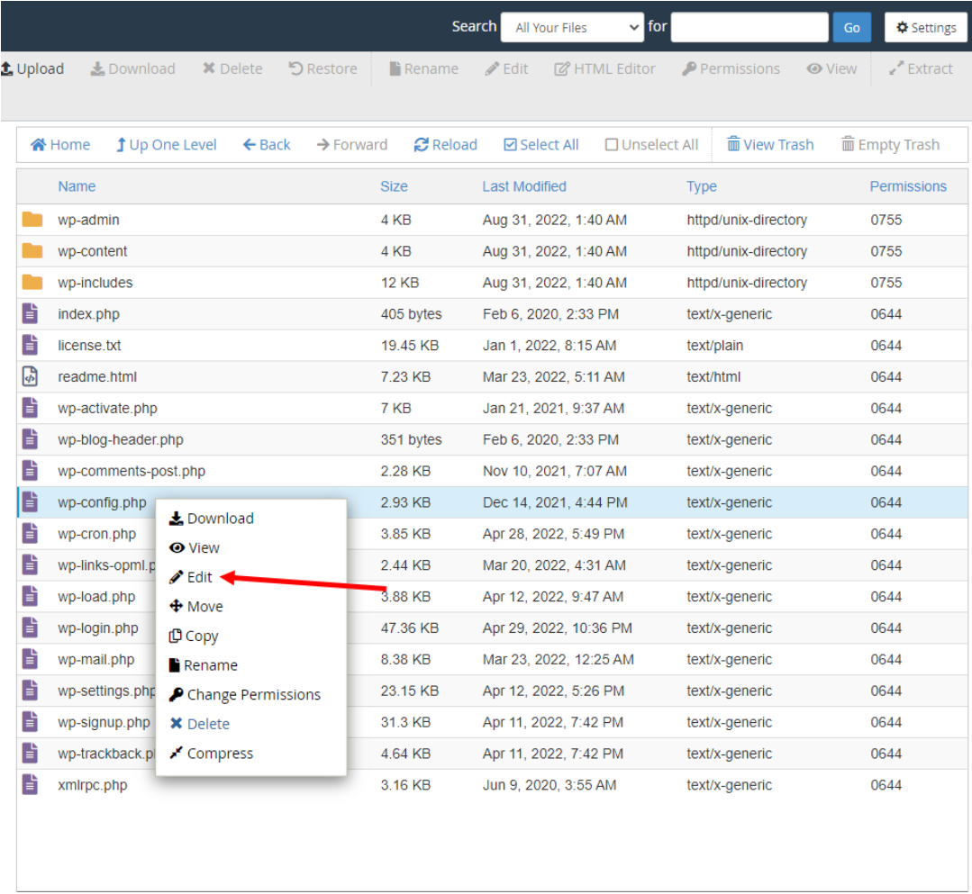 mysqldatabases filemanager edit wp config php database