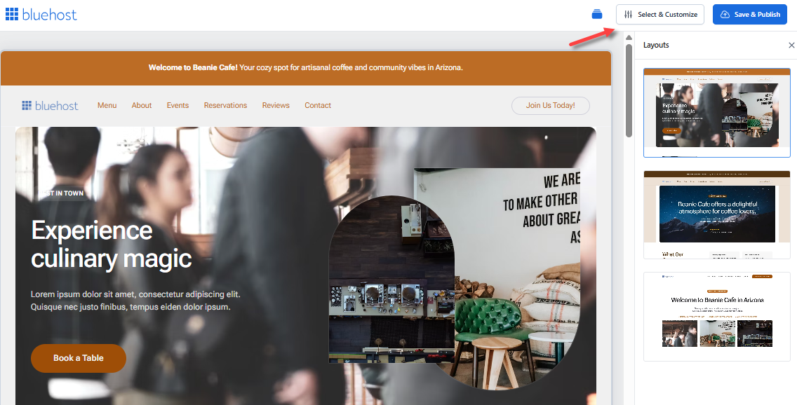 Install WordPress - Select & Customize