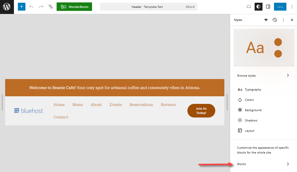 WordPress Dashboard - Block Editor - Style Settings - Blocks