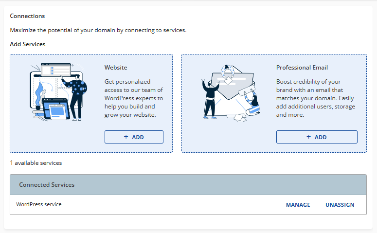 Domains Overview tab  - Connections