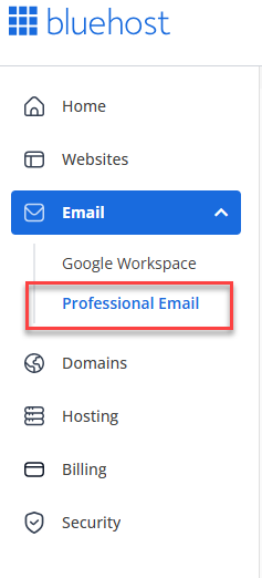 Email tab - Professional Email