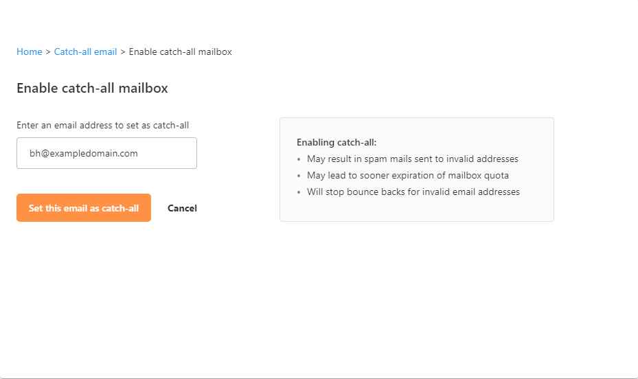 Professional Email - Create Catch-all Email