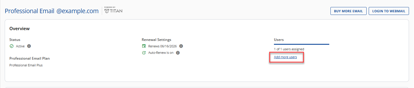 Professional Email - Add More Users