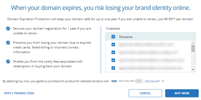 Domain Expiration Protection - Buy Now