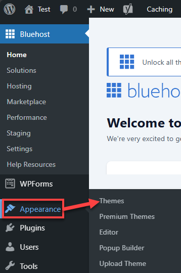 Bluehost WP Dashboard Appearance Customize