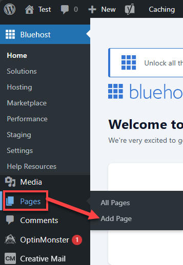 Bluehost WP Dashboard Pages Add New Page
