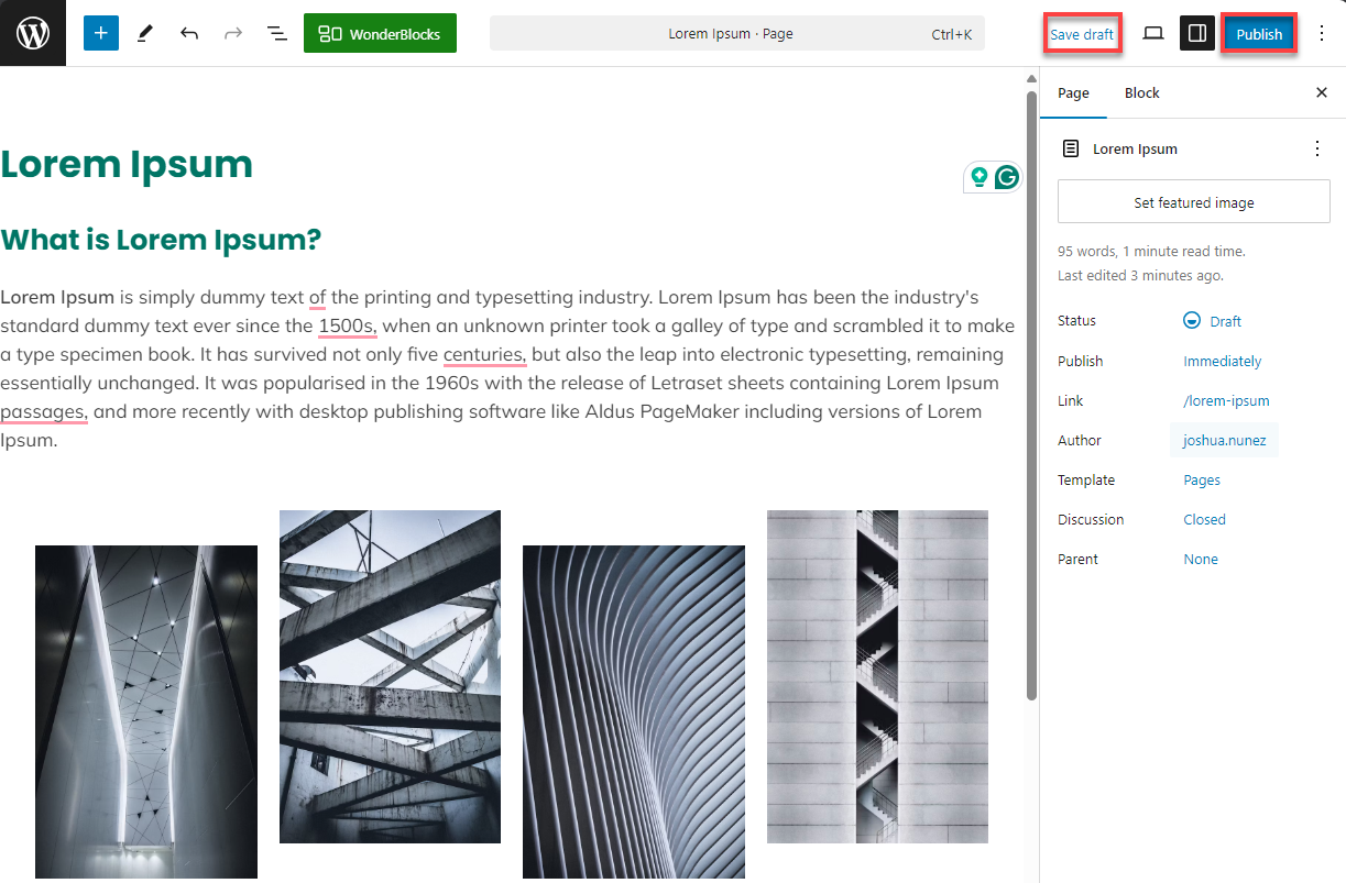 Bluehost WP Dashboard Pages Add New Page - Save or Publish