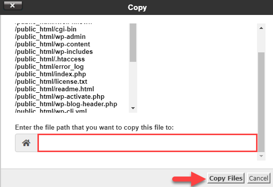 file-manager-copy-pop-up