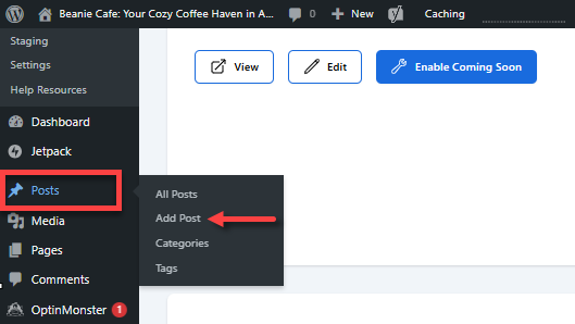 WordPress Dashboard - Posts - Add Post