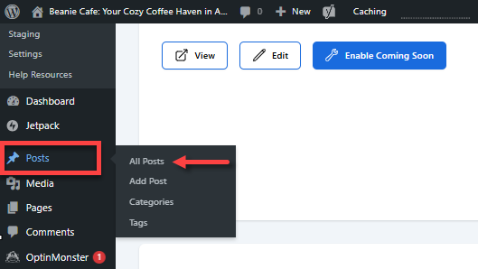 WordPress dashboard - Posts - All Posts