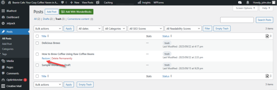 WordPress dashboard - Posts - Restore link