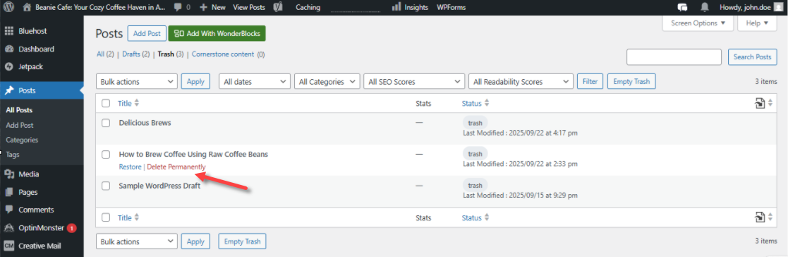 WordPress dashboard - Posts - Delete Permanently
