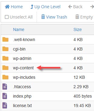 Delete Themes and Plugins - Access the wp-content folder