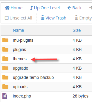 Delete Themes and Plugins - Themes folder