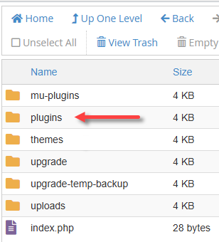 Delete Themes and Plugins - Plugins folder