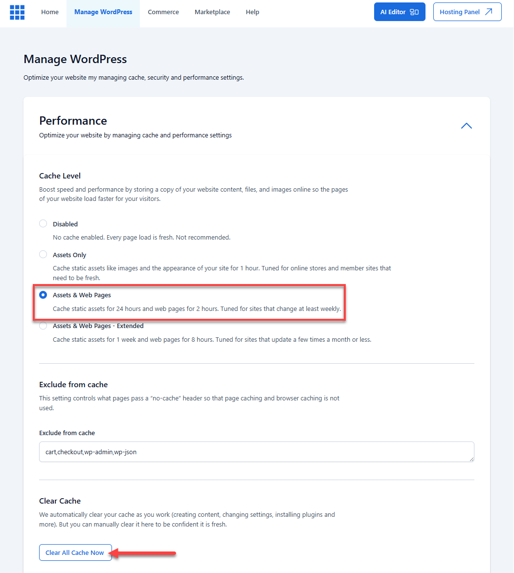 BH WP Dashboard - Settings Page Performance Cache Level