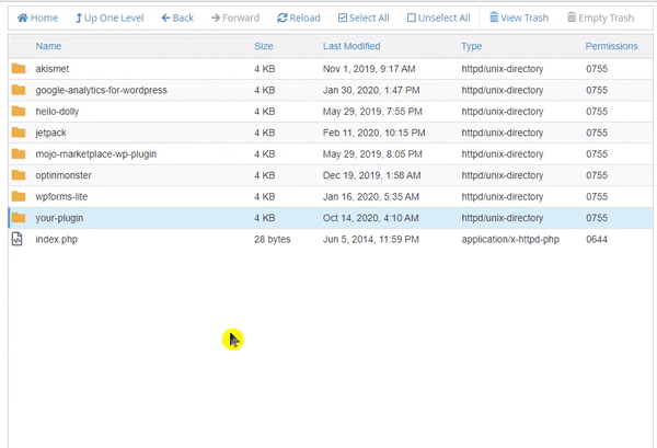 wp-plugin-rename walkthrough
