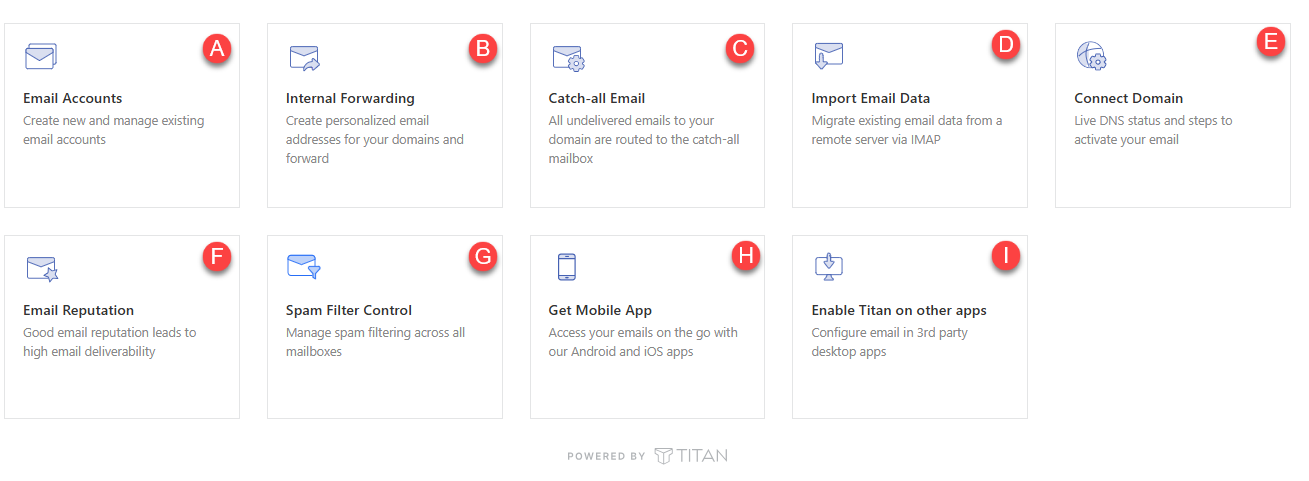 Professional Email - Management Options