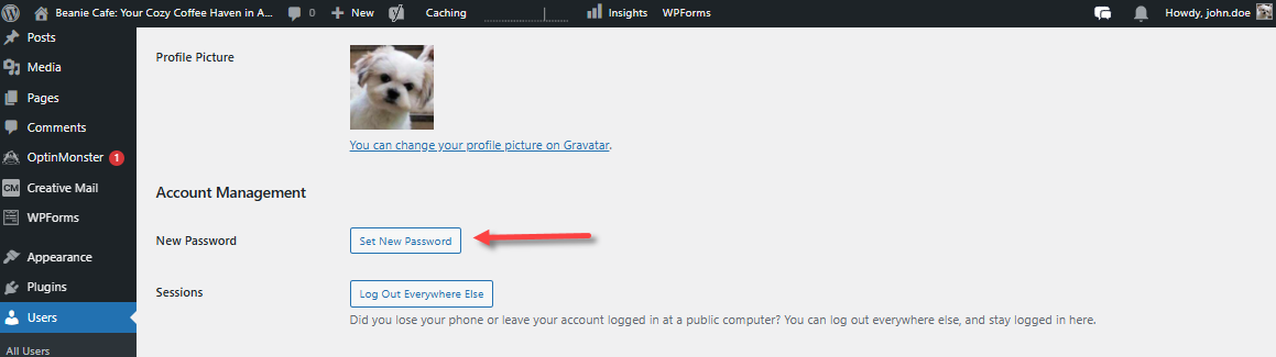 Reset WordPress Password - Set New Password