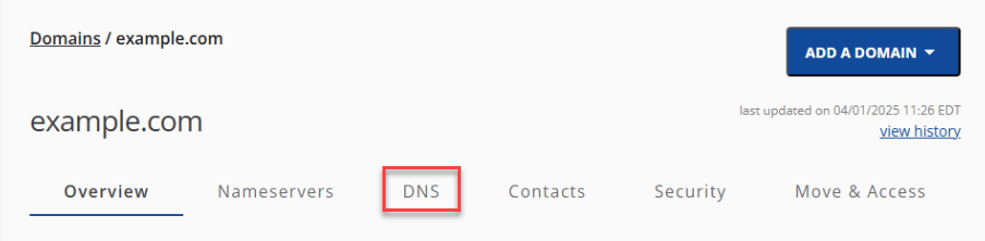 Domains tab - DNS tab