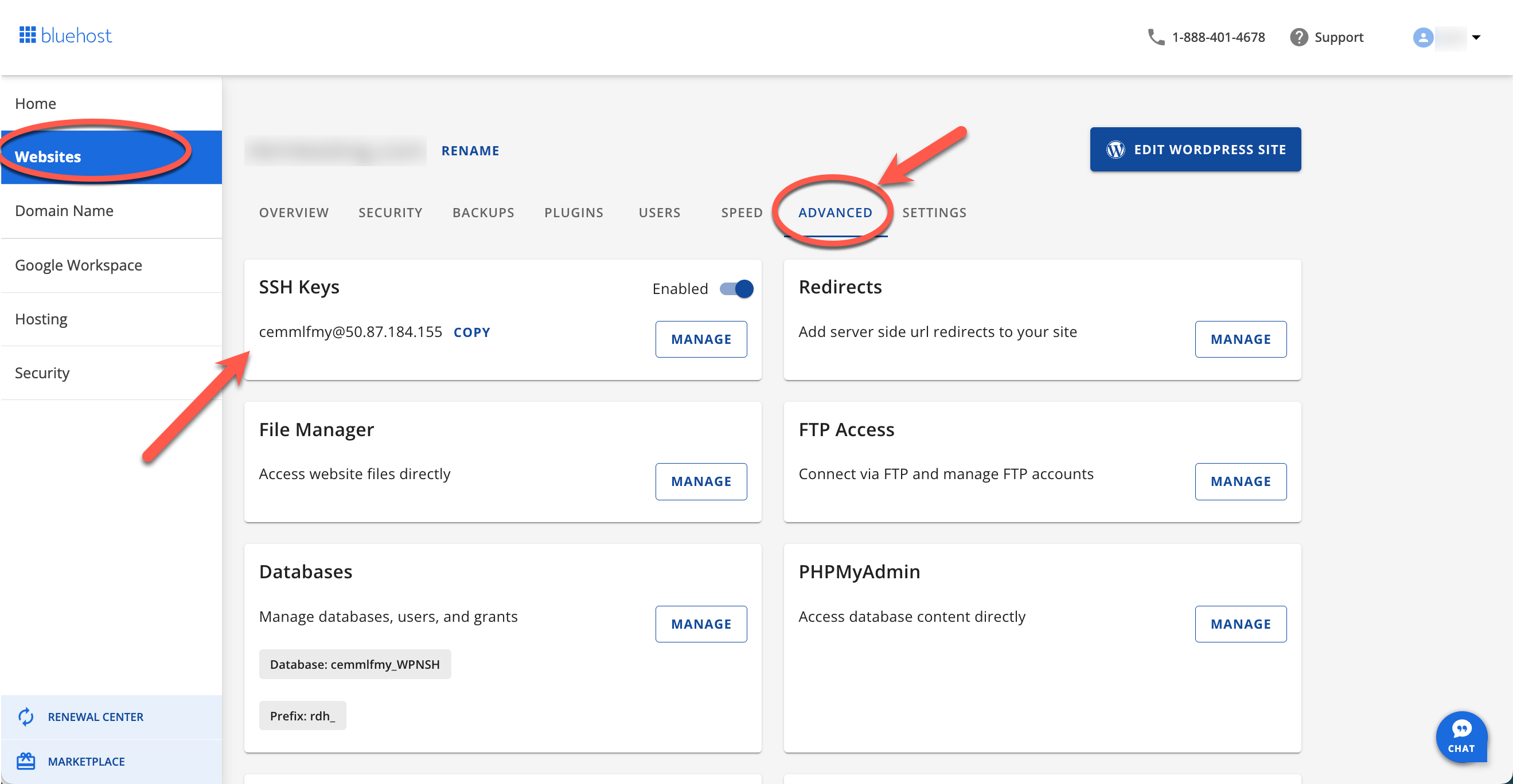 Websites tab, Advanced tab, and SSH Keys tile with toggle switch to enable SSH