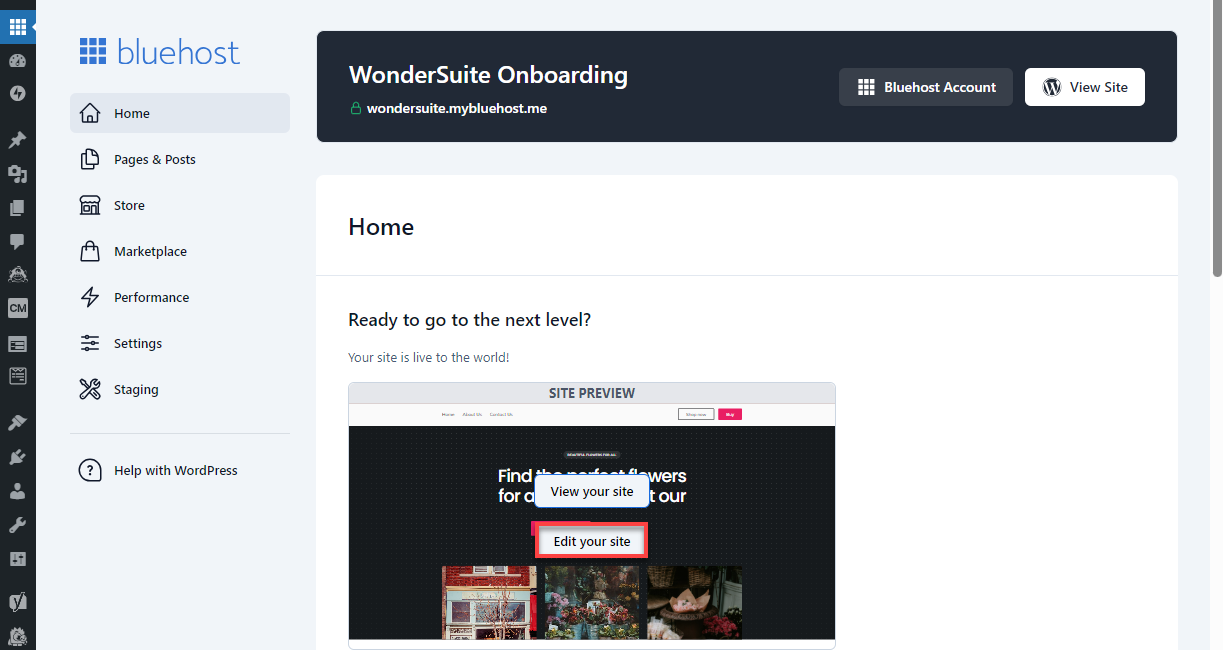 Bluehost WonderSuite WP Dashboard - Edit Site