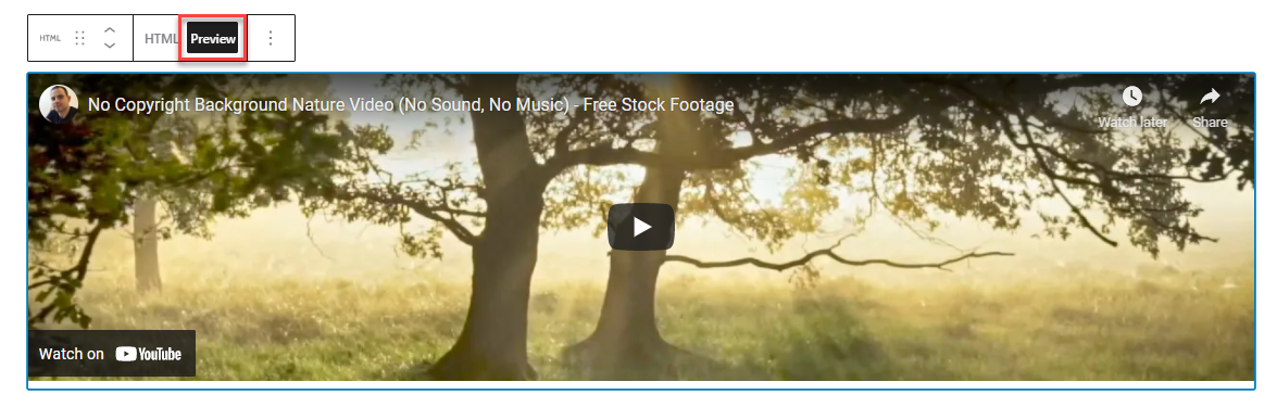 wp-codeblock-html-video-preview