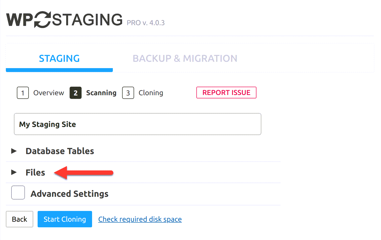 wp-wpstaging-settings