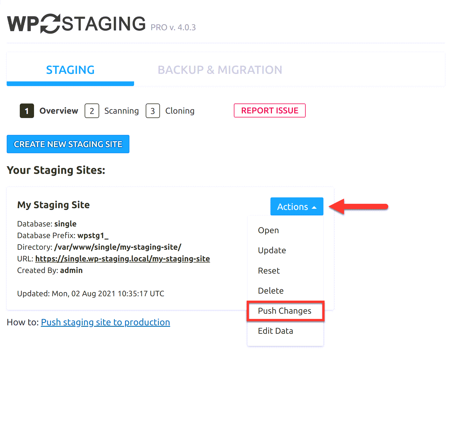 wp-wpstaging-publish